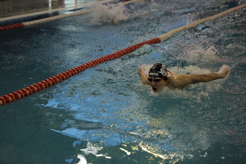 3. Анатолий Бибилов посетил финальные заплывы участников Международного турнира по плаванию