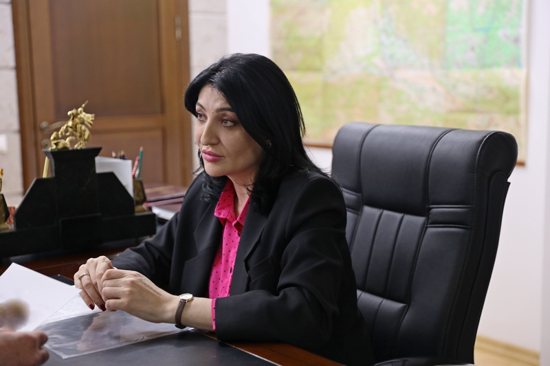 6ahnql6. Встреча с Председателем Правления Национального банка Республики Южная Осетия Жанной Джиоевой