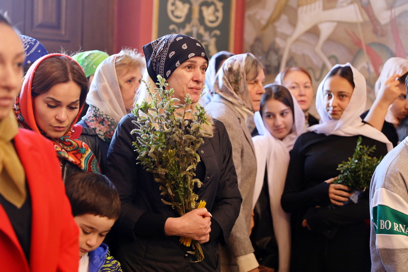 k6diqbdi. Алан Гаглоев поздравил православных христиан с Вербным воскресеньем
