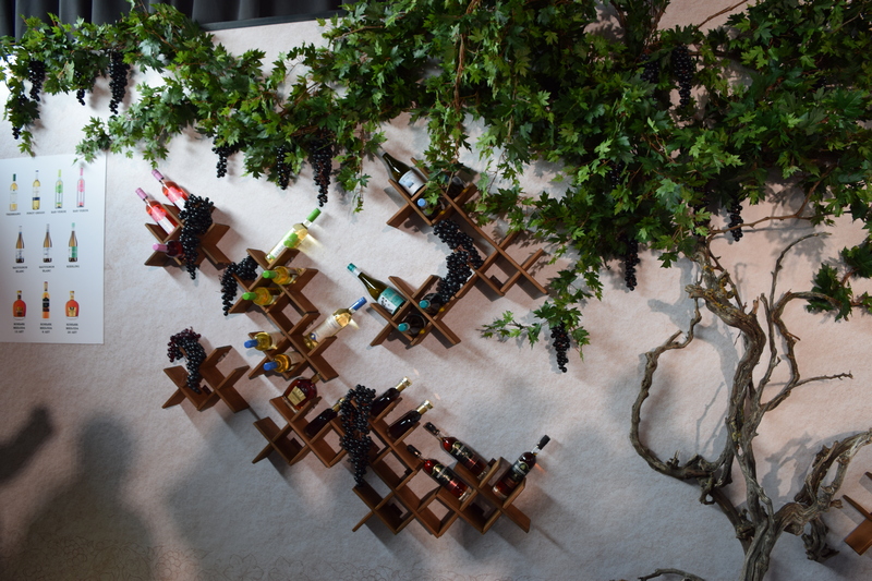 qju_62up. Алан Гаглоев: «I МЭФ – свидетельство того, что Южная Осетия твердо стоит на ногах и уверенно смотрит в будущее»