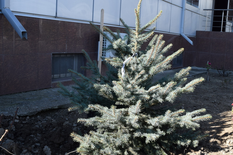 h5mp55rq. Алан Гаглоев принял участие в торжественном мероприятии по случаю Дня народного единства