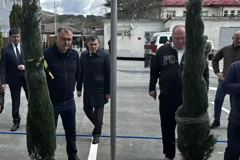 a5u9bikp. Алан Гаглоев принял участие в акции по высадке деревьев