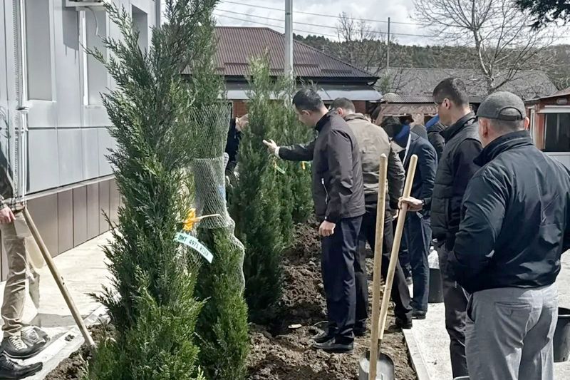 gmbui6c8. Алан Гаглоев принял участие в акции по высадке деревьев